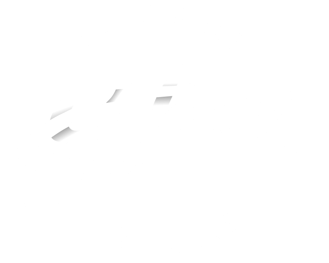 Ethos Car Care Logo